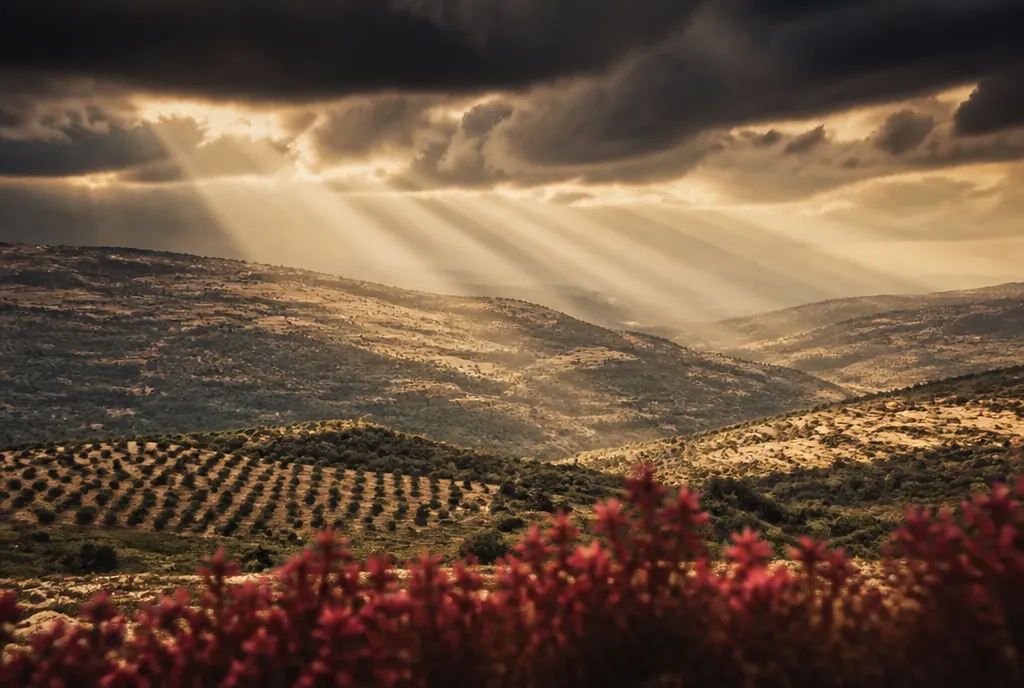 ¿Qué enseña Romanos 1:19-20 sobre lo que se puede saber de Dios?